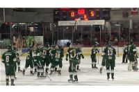 Le Desjardins-Wild de Windsor remporte le championnat de la saison régulière